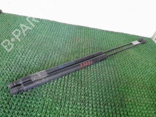Tailgate lift support FORD KUGA I 2.0 TDCi 4x4 | BP22088053C138 