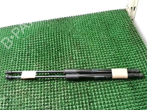 Tailgate lift support CITROËN C3 III (SX) 1.5 BlueHDi 100 (SXYHYP, SXYHTU) | BP30364280C138 