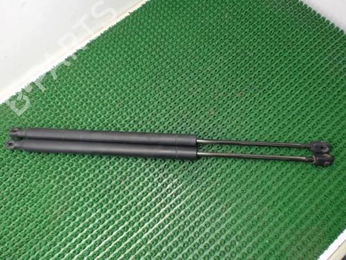 Tailgate lift support RENAULT SCÉNIC II (JM0/1_) 1.5 dCi (JM0F) | BP22077893C138 