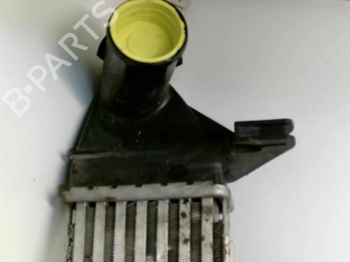 Intercooler DACIA SANDERO 1.5 dCi | BP22078983M30 