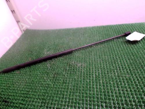 Hood lift support RENAULT MEGANE III Hatchback (BZ0/1_, B3_) 1.5 dCi | BP22083662C139 