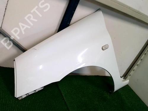 Left front fenders RENAULT CLIO II (BB_, CB_) 1.5 dCi (B/C2J) | BP28963990C41 