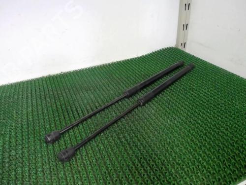 Used Tailgate lift support RENAULT SCÉNIC II (JM0/1_) 1.9 D (116 hp) 22078177