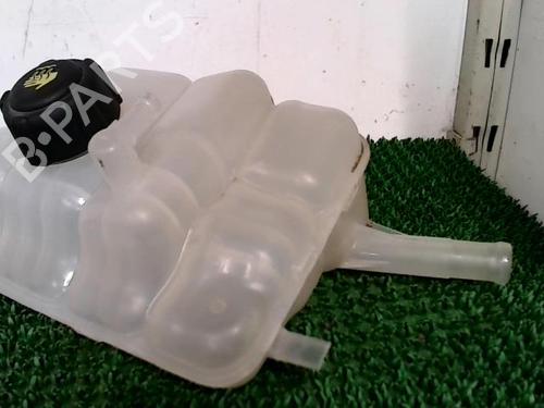 Expansion tank RENAULT GRAND SCÉNIC IV (R9_) 1.3 TCe 160 (R9NC) | BP22093183C120 