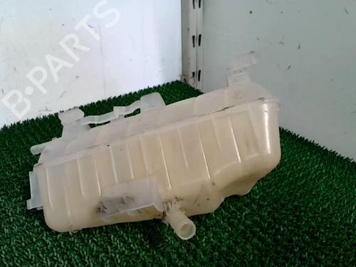 Expansion tank RENAULT KANGOO Express (FW0/1_) 1.5 dCi 90 (FW0G, FW05, FW08, FW11) | BP22093038C120 