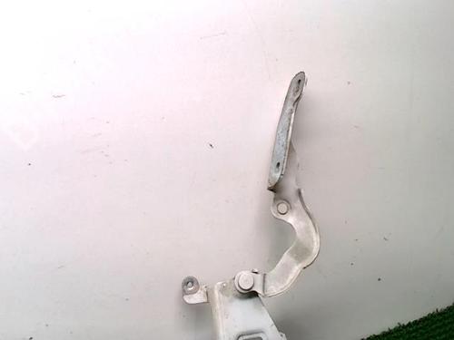 Hinge/Door check strap RENAULT TRAFIC III Bus (JG_) 1.6 dCi 125 (JGMH) | BP29958617C146