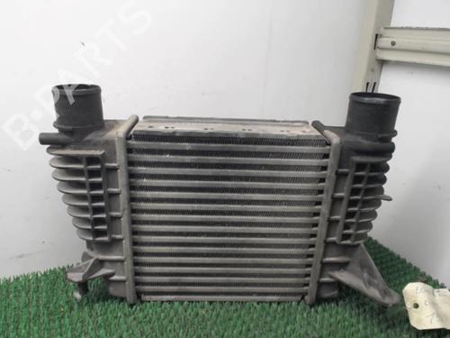 Intercooler RENAULT CLIO III (BR0/1, CR0/1) 1.5 dCi (C/BR0G, C/BR1G) | BP22084921M30 