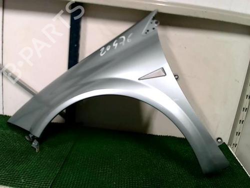 Used Left front fenders RENAULT MEGANE II (BM0/1_, CM0/1_) 2.0 Renault Sport (224 hp) 20877117