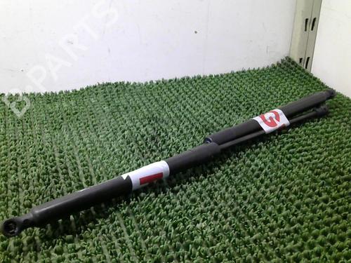 Tailgate lift support CITROËN C3 II (SC_) 1.2 VTi 82 | BP31700479C138 