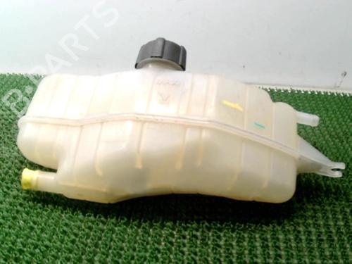 Expansion tank RENAULT CLIO III (BR0/1, CR0/1) 1.2 16V Hi-Flex (BR1U, CR1U) | BP22078557C120 