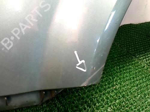 Left front fenders RENAULT SCÉNIC II (JM0/1_) 1.9 dCi (JM0G, JM12, JM1G, JM2C) | BP22090152C41 