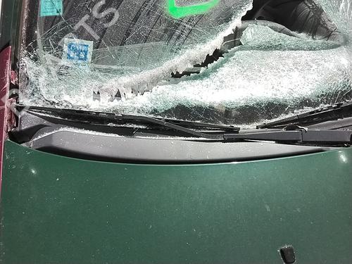 Used Front windshield wiper arm Front windshield wiper arm FIAT PUNTO (176_) [1993-1999] 34176660 34176660