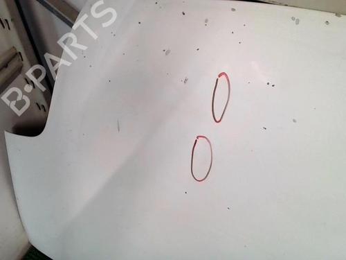 Hood OPEL MOVANO A Van (X70) 2.5 DTi (FD) | BP22092520C1 