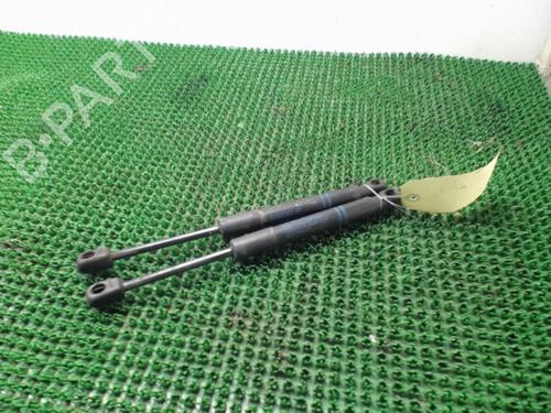 Hood lift support BMW 3 (F30, F80) 320 d | BP22085575C139 