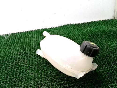 Used Expansion tank RENAULT CLIO V (B7_) 1.5 Blue dCi 100 (B7AD) (101 hp) 29900876