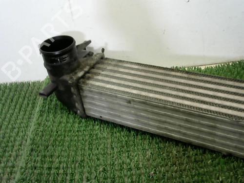 Intercooler SKODA FABIA II (542) 1.6 TDI | BP34432888M30  - Image 6