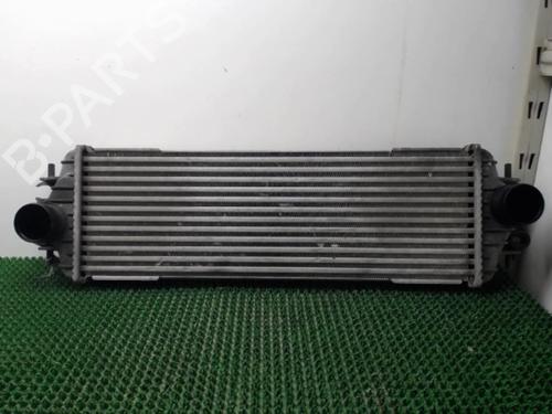 Intercooler RENAULT TRAFIC II Van (FL) 1.9 dCi 80 (FL0B) | BP22085160M30 
