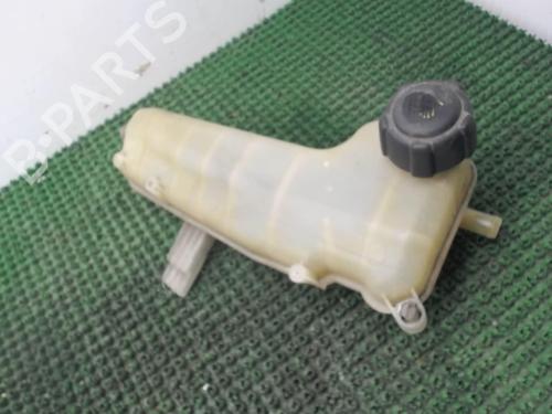Expansion tank RENAULT KANGOO Express (FC0/1_) 1.2 (FC01, FC0A, FC0F) | BP22080278C120 