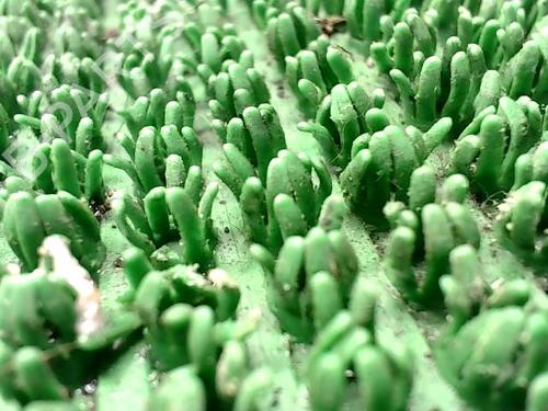 Generator RENAULT SCÉNIC I MPV (JA0/1_, FA0_) 1.9 dCi (JA05, JA1F) | BP28496893M7 