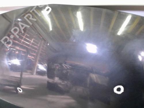 Hood RENAULT TWINGO II (CN0_) 1.5 dCi (CN0E) | BP20875425C1