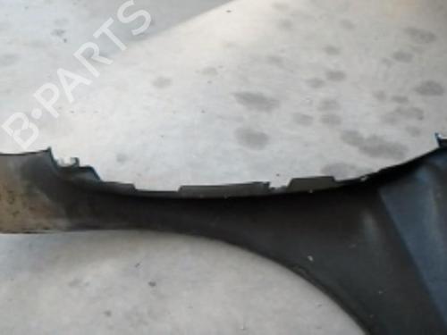 Left front fenders RENAULT LAGUNA II (BG0/1_) 2.0 16V IDE (BG0N) | BP21850446C41 