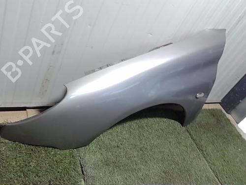 Left front fenders PEUGEOT 206 Hatchback (2A/C) 1.4 i | BP29485278C41 