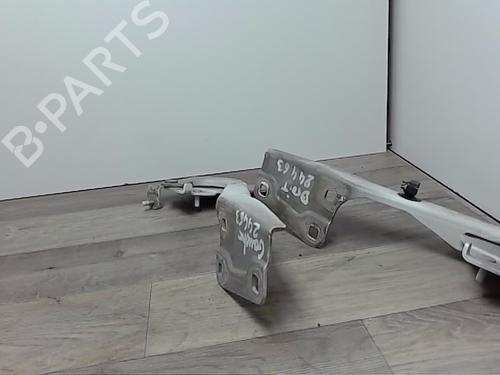 Hinge/Door check strap RENAULT MEGANE III Hatchback (BZ0/1_, B3_) 1.5 dCi (BZ09, BZ0D, BZ1W, BZ29, BZ14) | BP30557172C146