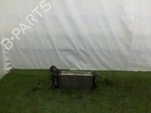 Used Intercooler RENAULT MEGANE II (BM0/1_, CM0/1_) 1.9 dCi (BM0G, CM0G) (120 hp) 21854533