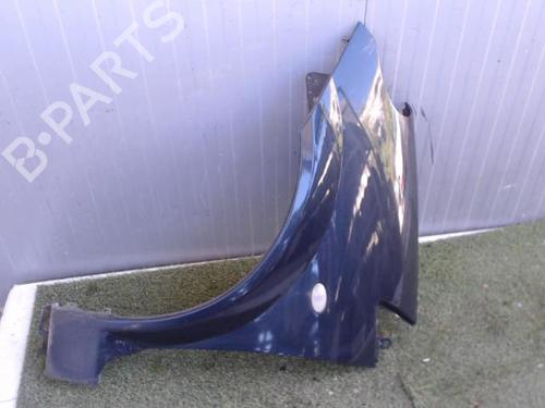 Left front fenders CITROËN C3 Pluriel (HB_) 1.4 | BP20879524C41 