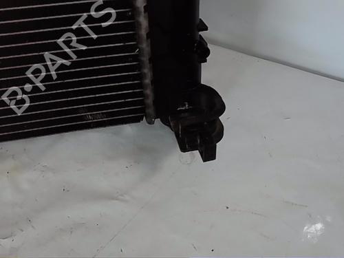 Water radiator DACIA SANDERO II 1.5 dCi | BP29738544M31 