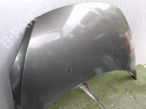 Hood PEUGEOT 307 (3A/C) 2.0 HDi 135 | BP20877903C1 