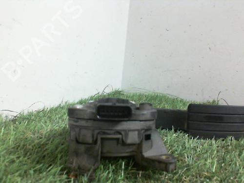 Pedal RENAULT CLIO IV (BH_) 1.5 dCi 75 | BP29422502I4 