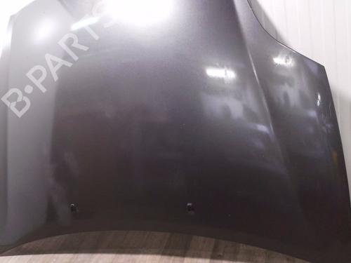 Used Hood Hood FIAT BRAVO II (198_) 1.9 D Multijet (198AXB1A) (120 hp) 31977767 31977767
