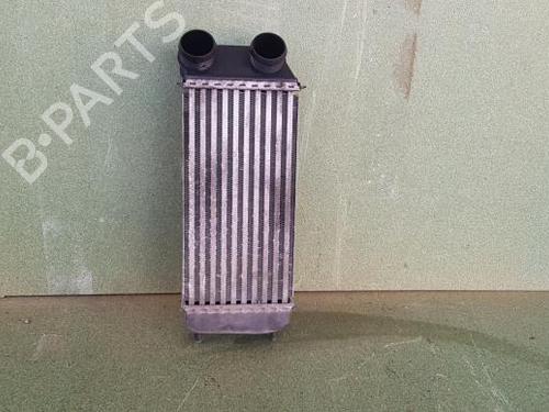 Used Intercooler Intercooler PEUGEOT 206 CC (2D) 1.6 HDi 110 (109 hp) 20879376 20879376