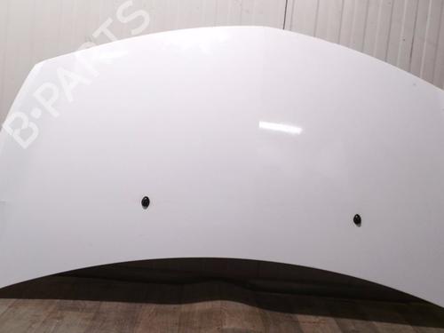 Capot Capot RENAULT CLIO III (BR0/1, CR0/1) 1.5 dCi (BR17, CR17) (86 hp) 31956808 31956808