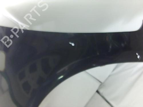 Used Left front fenders FORD C-MAX (DM2) 1.8 TDCi (115 hp) 21854548