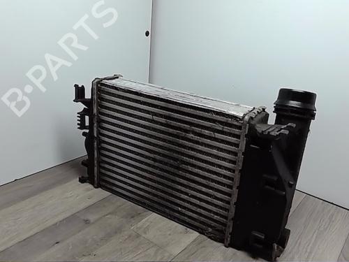 Intercooler RENAULT MEGANE IV Hatchback (B9A/M/N_) 1.5 dCi 90 (B9A1) | BP30537403M30