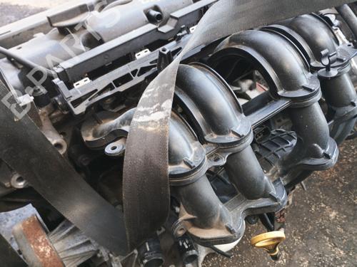 Engine FORD FIESTA VI (CB1, CCN) 1.25 | BP33874143M1 - Image 5