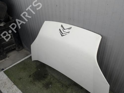 Used Hood Hood CITROËN NEMO Box Body/MPV (AA_) 1.3 HDi 75 (75 hp) 20878589 20878589