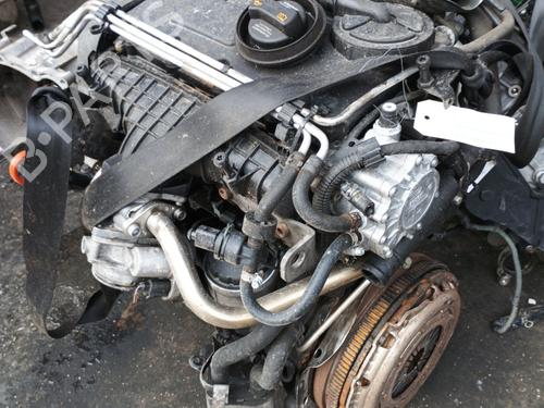 Moteur AUDI A3 (8P1) 2.0 TDI 16V (140 hp) 30061906
