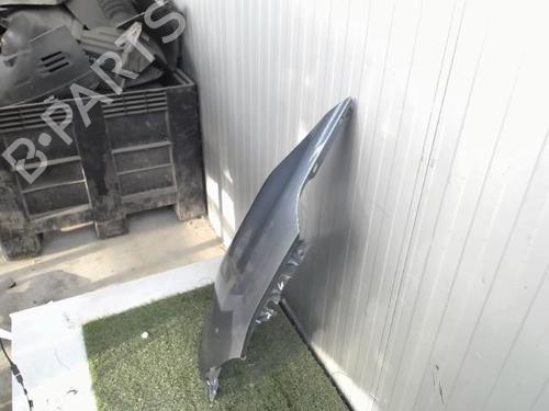 Left front fenders CITROËN C4 I (LC_) 1.6 HDi | BP21170618C41 