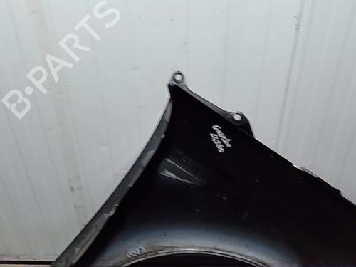 Left front fenders RENAULT SCÉNIC II (JM0/1_) 1.6 16V (JM1R) | BP29757307C41