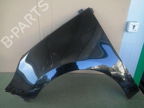 Left front fenders RENAULT SCÉNIC III (JZ0/1_) 1.5 dCi | BP20878218C41 