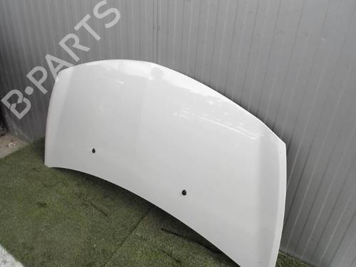 Hood RENAULT CLIO III (BR0/1, CR0/1) 1.5 dCi (C/BR0G, C/BR1G) | BP21856780C1 