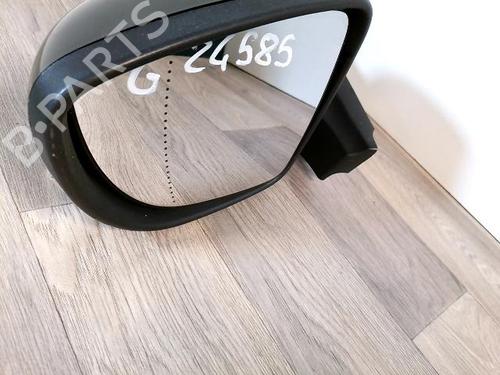 Retrovisor esquerdo RENAULT ZOE (BFM_) ZOE | BP31171210C26