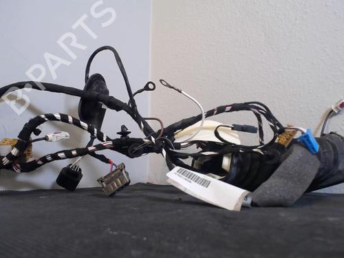 Wiring harness VW TRANSPORTER T6 Van (SGA, SGH, SHA, SHH) 2.0 TDI 4motion | BP22409291E16 