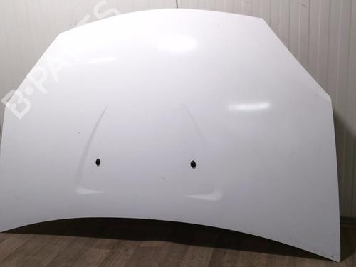 hood-dacia-sandero-2008-31138782 main image