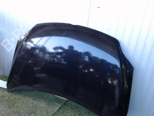 Hood VW GOLF PLUS V (5M1, 521) 2.0 TDI 16V | BP21081132C1 