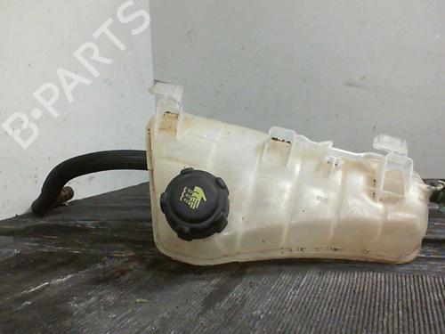 Expansion tank RENAULT KANGOO Express (FW0/1_) 1.5 dCi 90 (FW0G, FW05, FW08, FW11) | BP24351191C120 