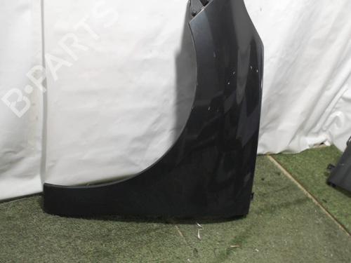 Left front fenders RENAULT SCÉNIC III (JZ0/1_) 1.5 dCi | BP22388703C41 